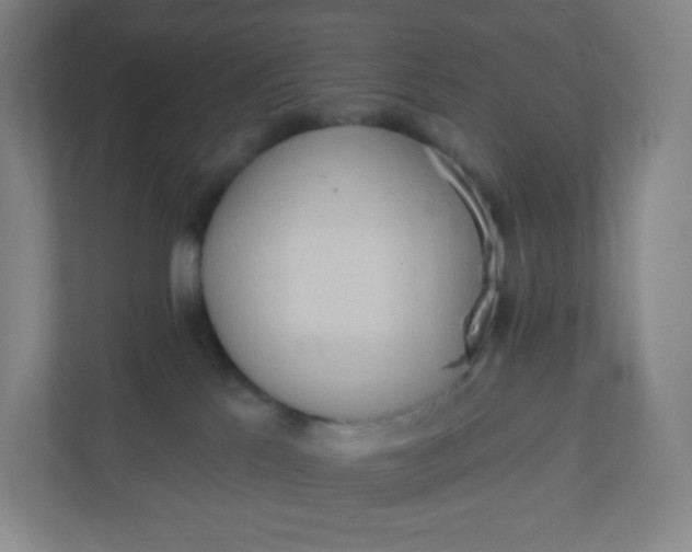 X0000110760041200906291037