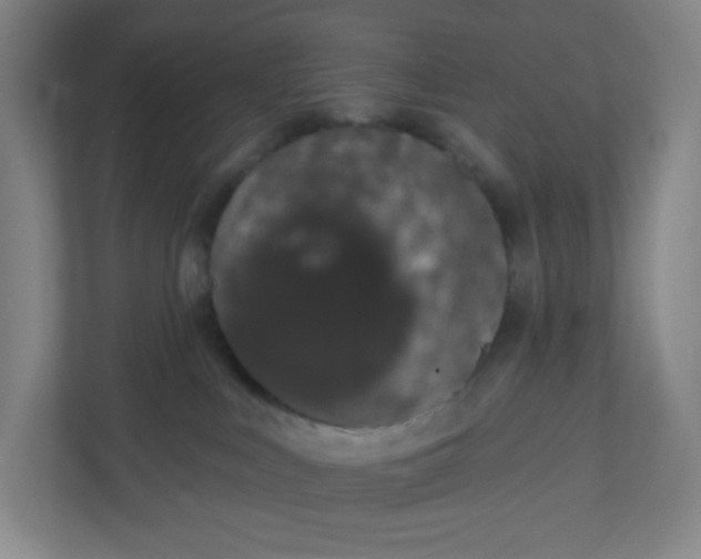 X0000110760043200906291037