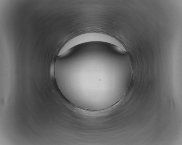 X0000110760047200906291037