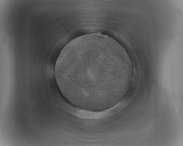 X0000110760048200906291037