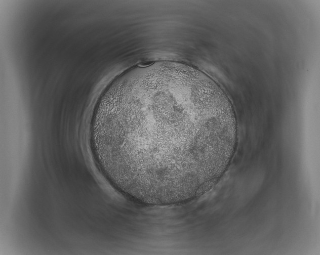 X0000110760049200906291036