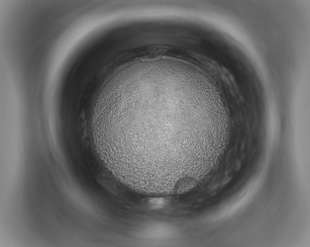 X0000110760050200906291036