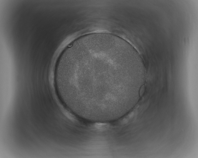 X0000110760055200906291036