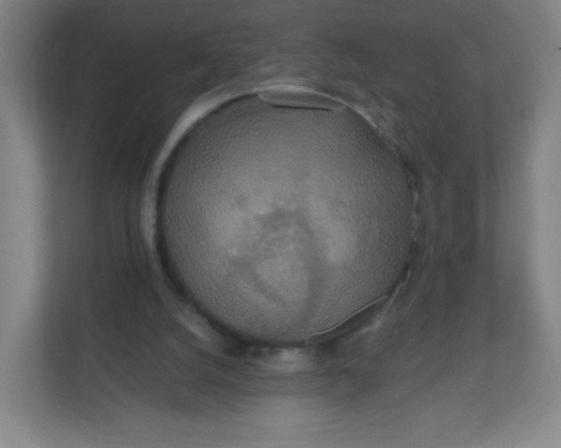 X0000110760056200906291036