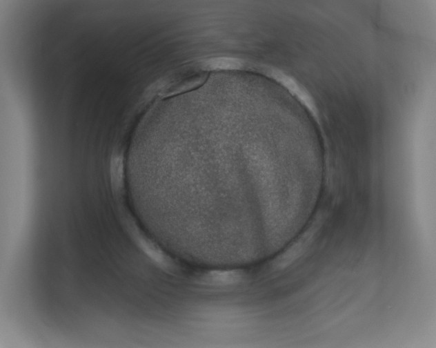 X0000110760057200906291036
