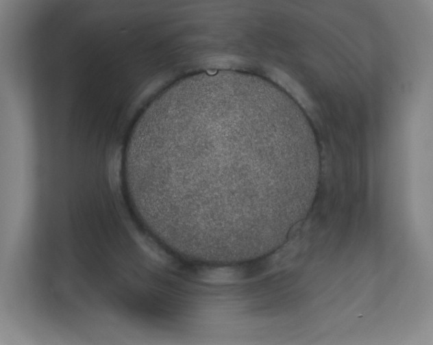X0000110760058200906291036