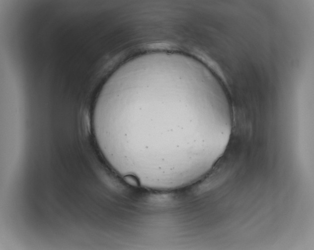 X0000110760061200906291036