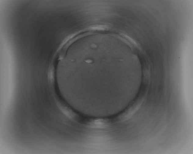 X0000110760064200906291036