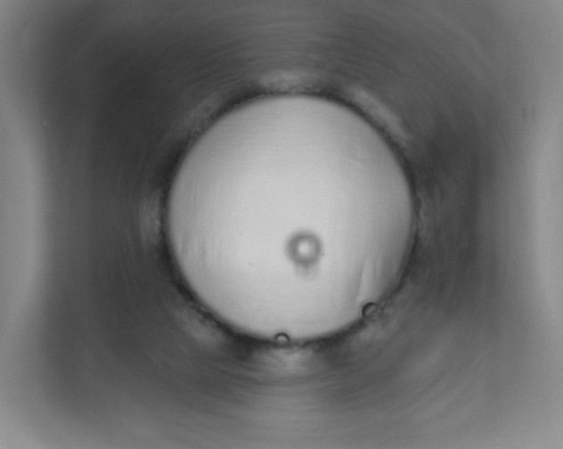 X0000110760065200906291036