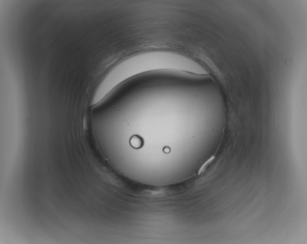 X0000110760068200906291036