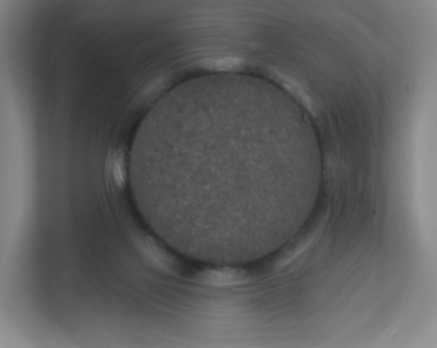 X0000110760069200906291036