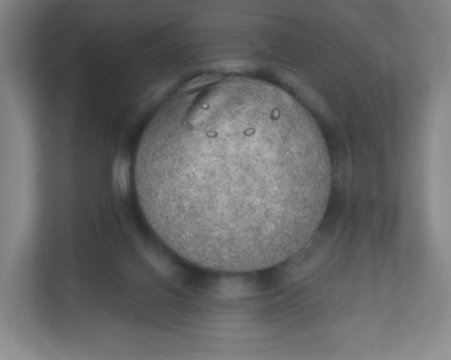 X0000110760070200906291036