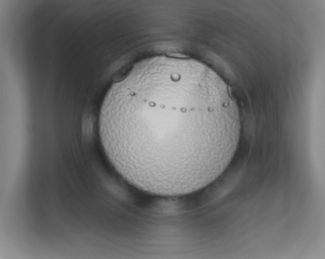 X0000110760071200906291036