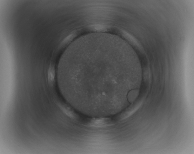 X0000110760072200906291036