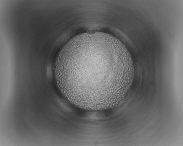 X0000110760074200906291036