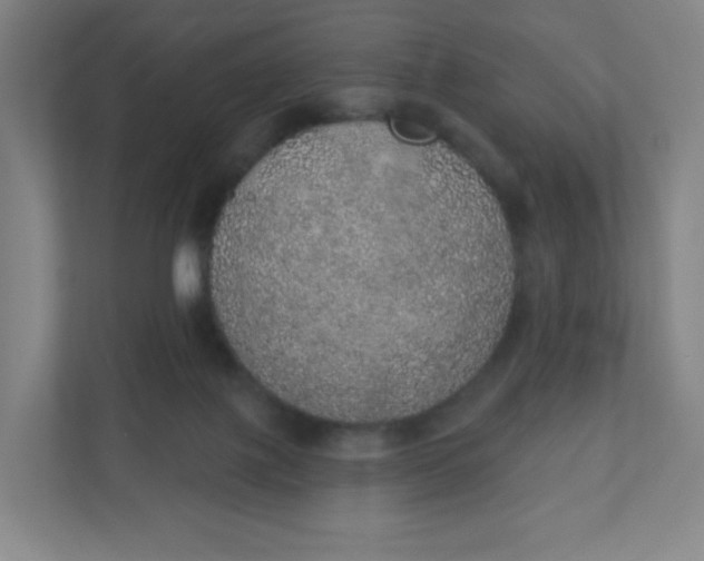 X0000110760075200906291036