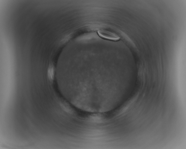 X0000110760076200906291036