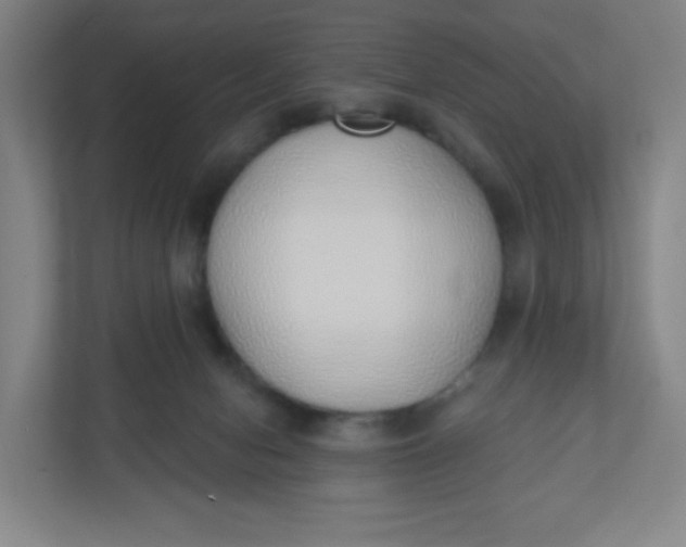 X0000110760078200906291036