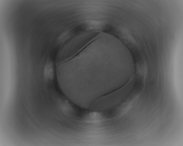 X0000110760080200906291036