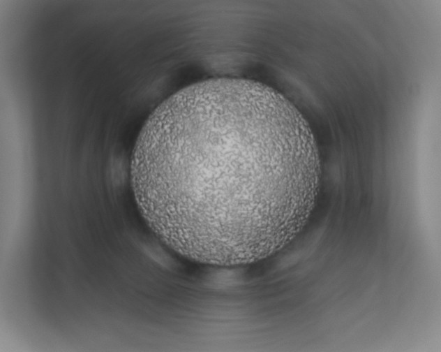 X0000110760081200906291036