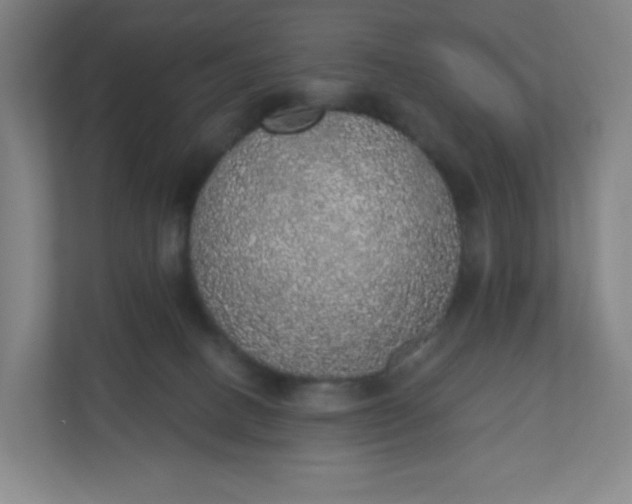 X0000110760082200906291036