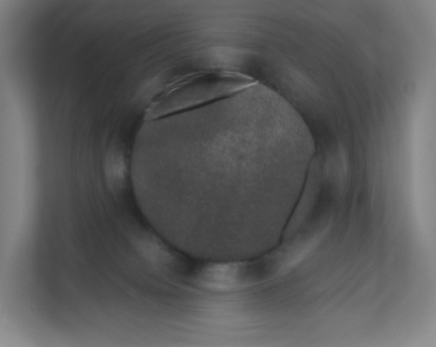 X0000110760084200906291036