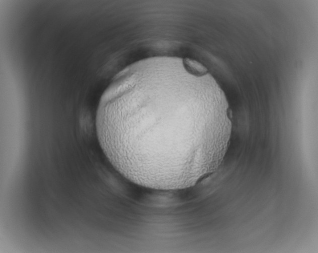 X0000110760086200906291036
