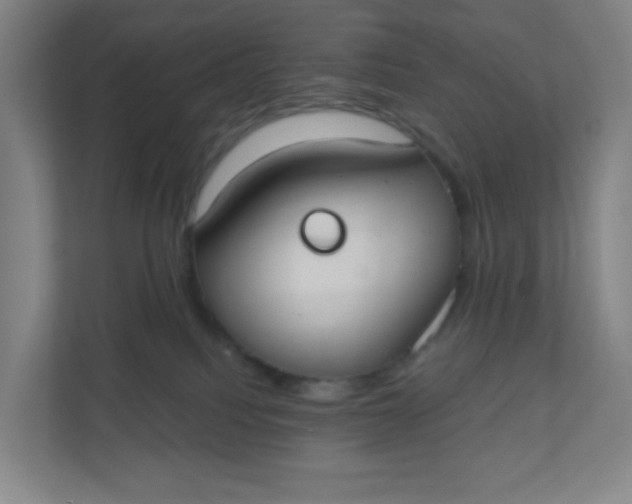 X0000110760088200906291036