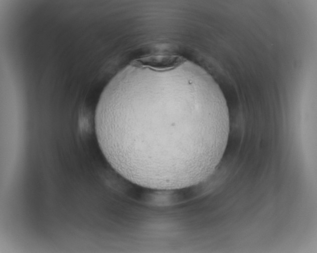 X0000110760090200906291037