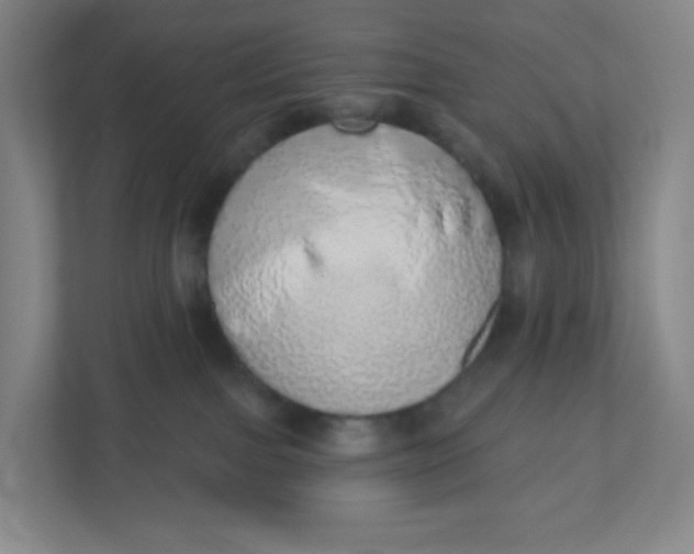X0000110760091200906291037