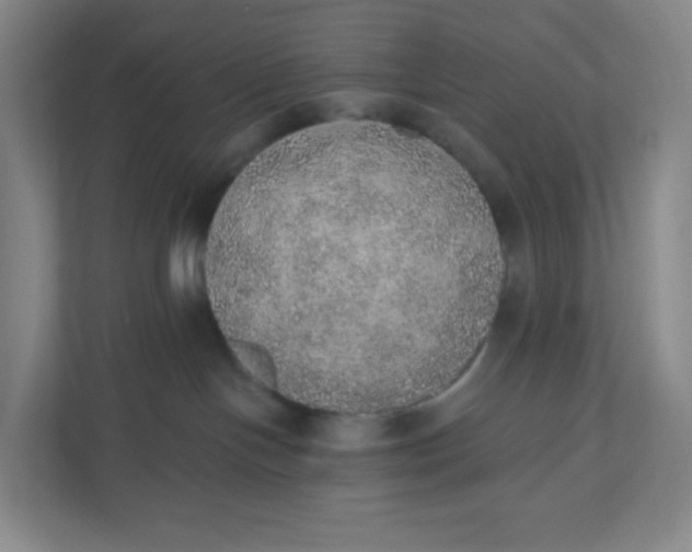 X0000110760094200906291037
