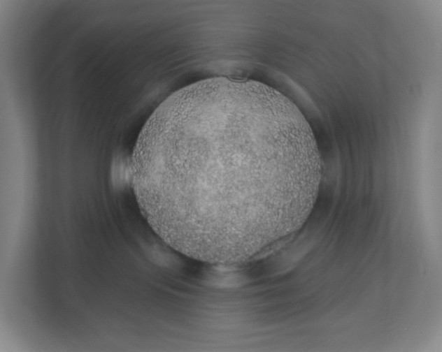 X0000110760095200906291037