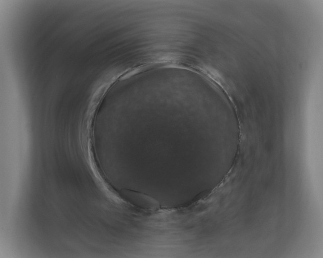 X0000110760097200906291036