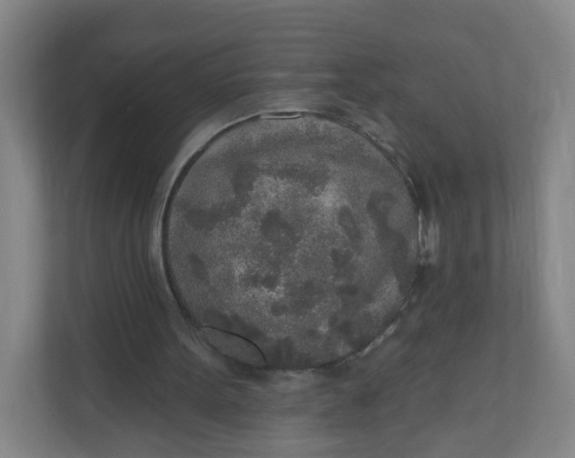 X0000110760099200906291036