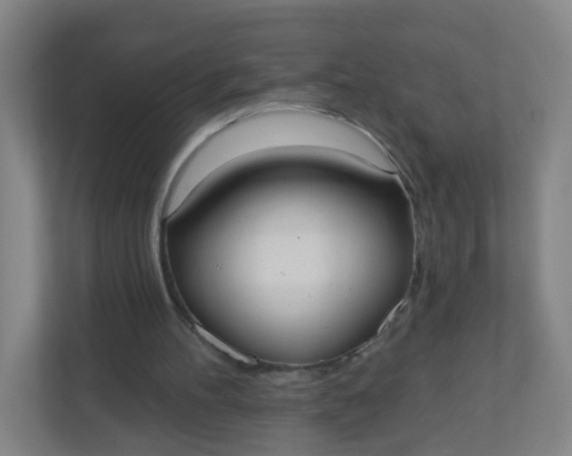 X0000110760100200906291036