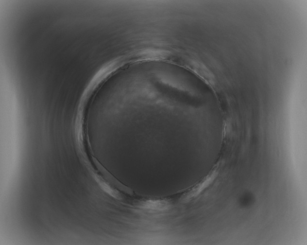 X0000110760101200906291036