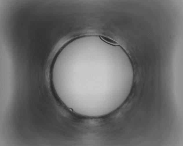 X0000110760103200906291036