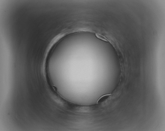 X0000110760104200906291036