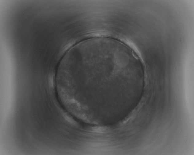 X0000110760105200906291036