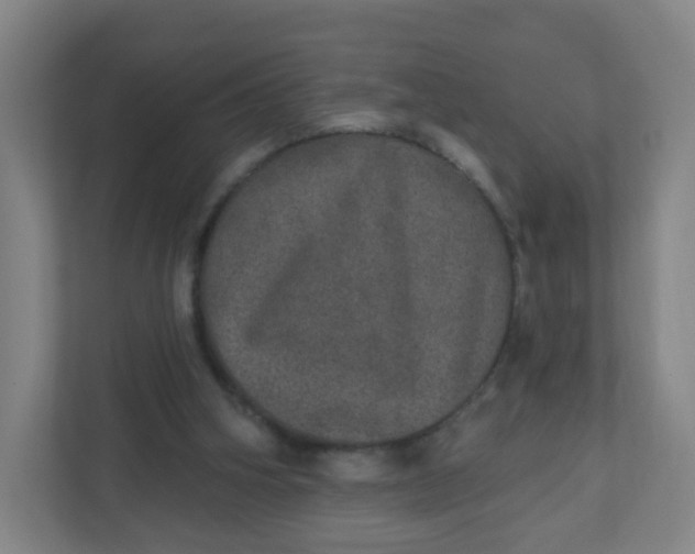 X0000110760106200906291036