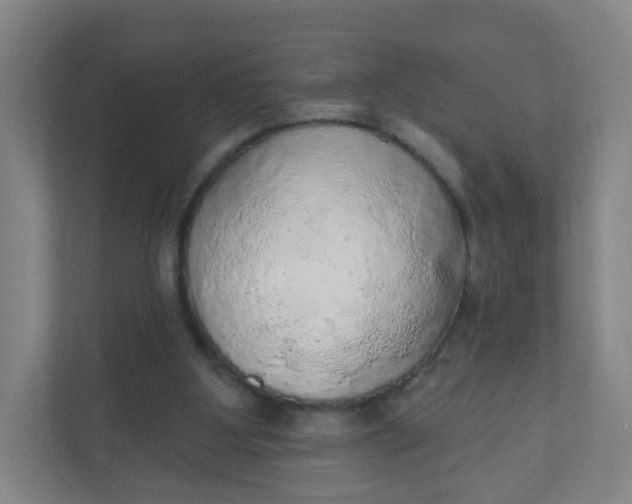 X0000110760107200906291036