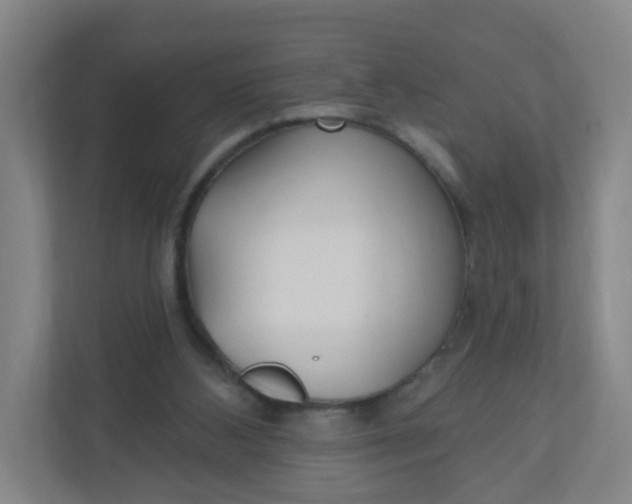X0000110760108200906291036
