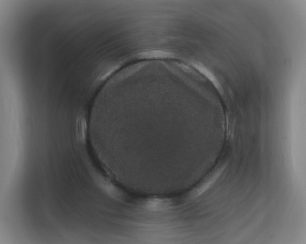 X0000110760109200906291036