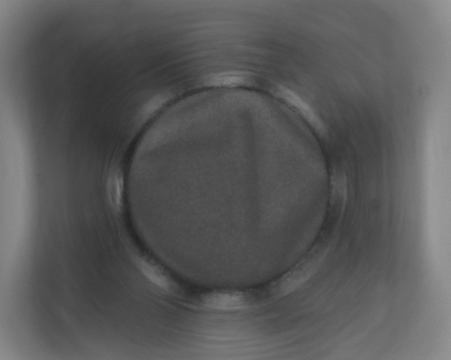 X0000110760110200906291036
