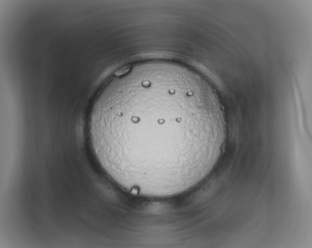 X0000110760111200906291036
