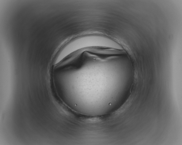 X0000110760112200906291036