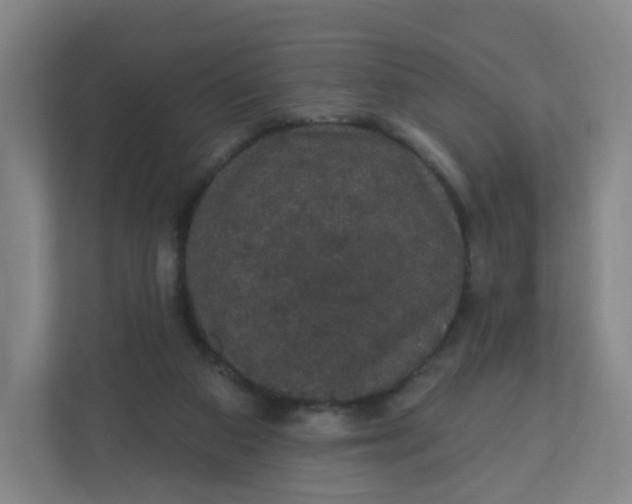 X0000110760113200906291036