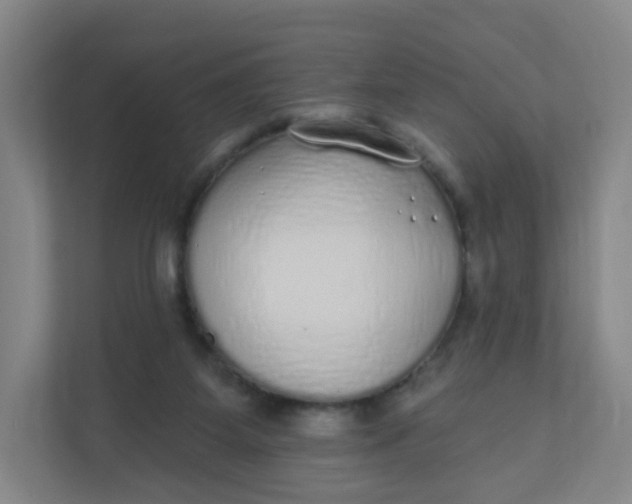 X0000110760115200906291036