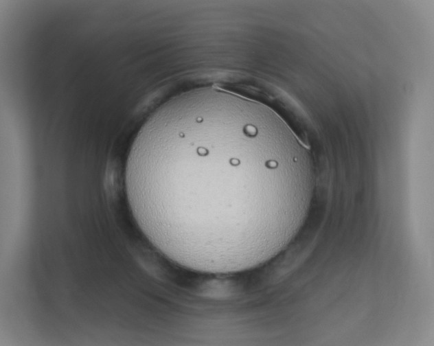 X0000110760119200906291036