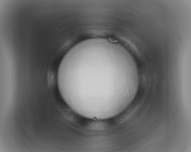 X0000110760123200906291036